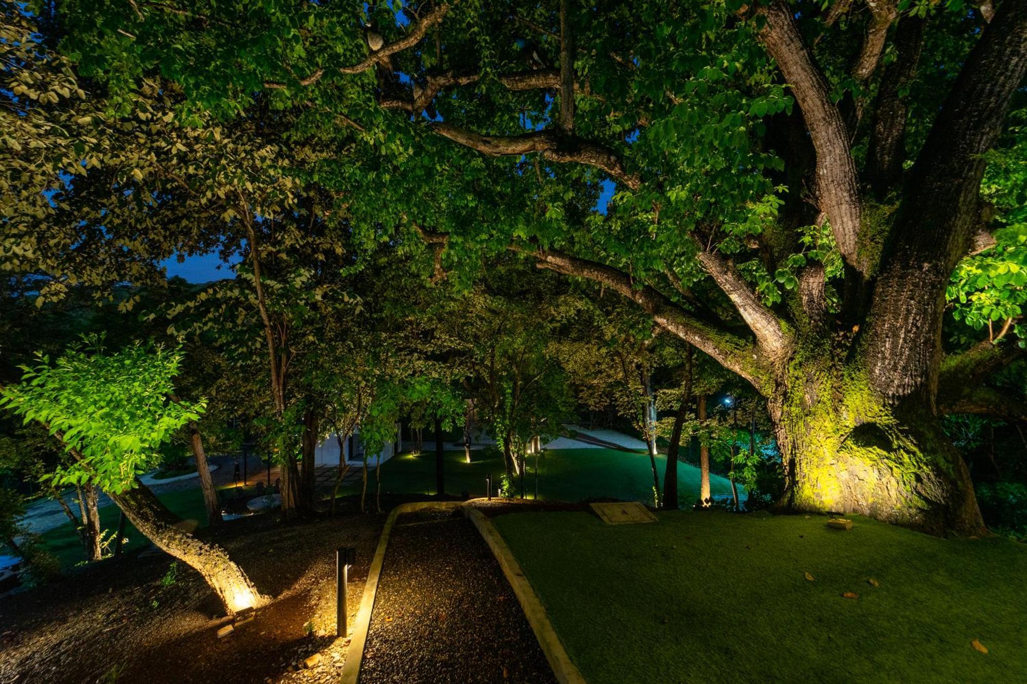 Epic Tamarindo Boutique Hotel Villarreal Eksteriør bilde